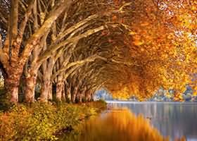 Kali Linux工具清单