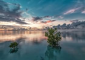 《关键信息基础设施商用密码使用管理规定》解读